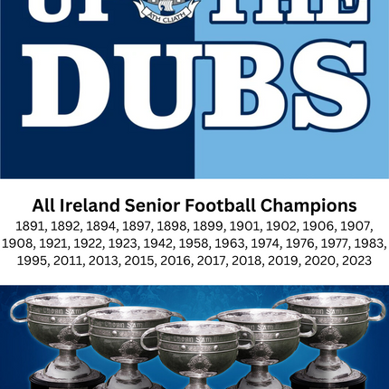 Up The Dubs A3 Poster GAA All Ireland Champions