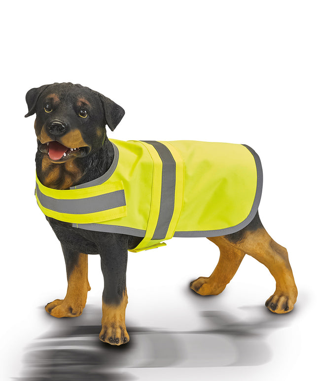 Hi-vis dog vest